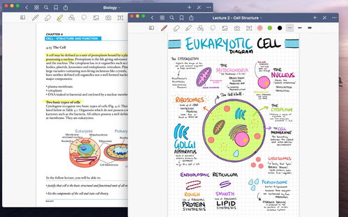 笔记就是生产力 打造高效创意工作流的Mac笔记软件指南