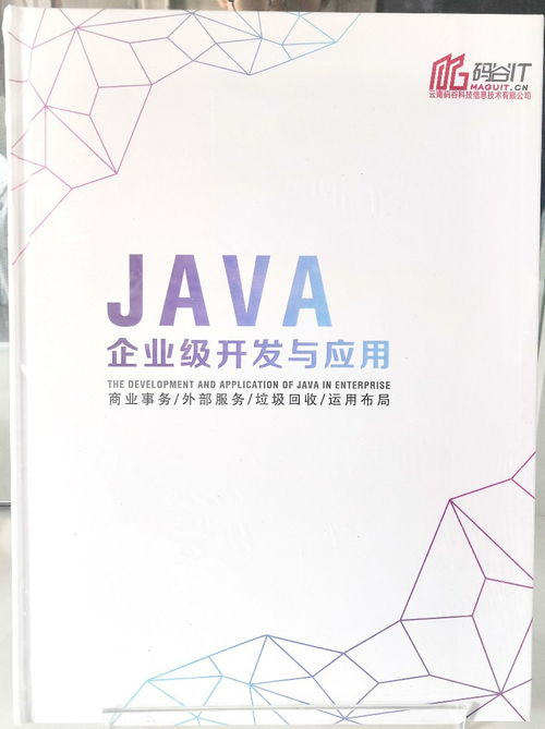 码谷信息科技 专业软件开发项目外包与数字文化创意解决方案